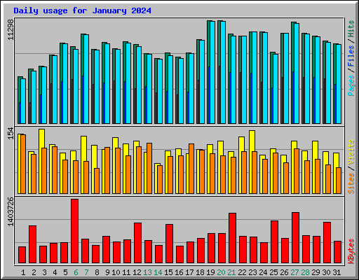 Daily usage for January 2024