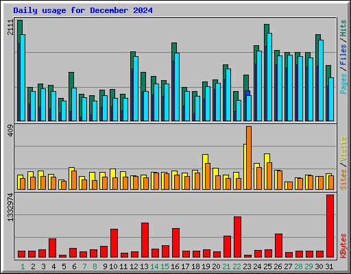 Daily usage for December 2024