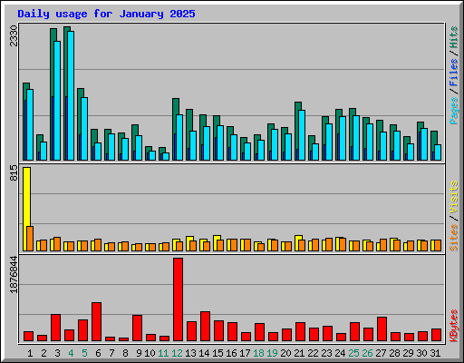 Daily usage for January 2025