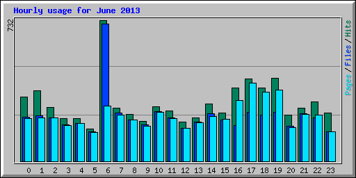 Hourly usage for June 2013