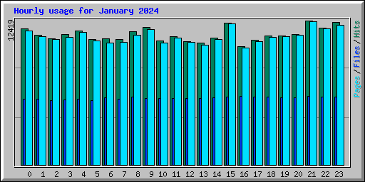 Hourly usage for January 2024