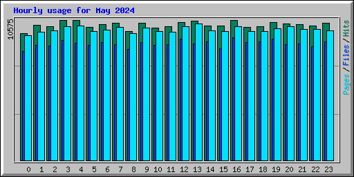 Hourly usage for May 2024