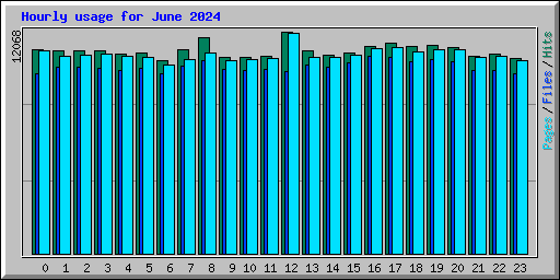 Hourly usage for June 2024