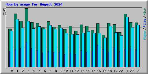 Hourly usage for August 2024