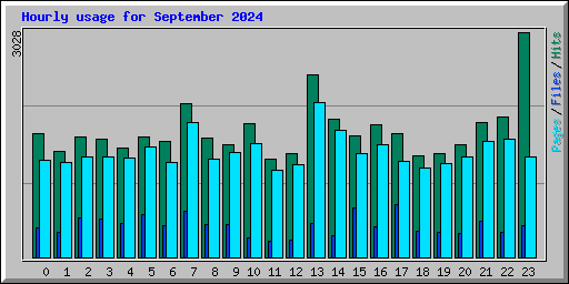 Hourly usage for September 2024