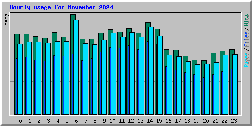 Hourly usage for November 2024