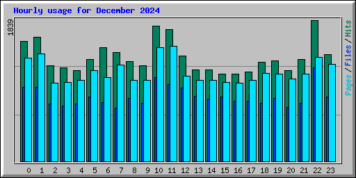 Hourly usage for December 2024