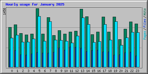 Hourly usage for January 2025