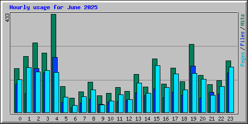 Hourly usage for June 2025