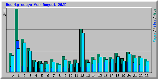 Hourly usage for August 2025
